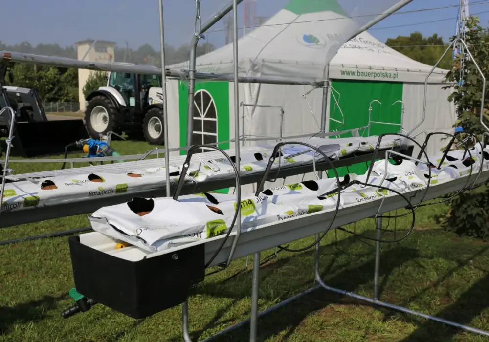 Najlepsze rusztowania do malin od Agronom – klucz do zdrowych plonów