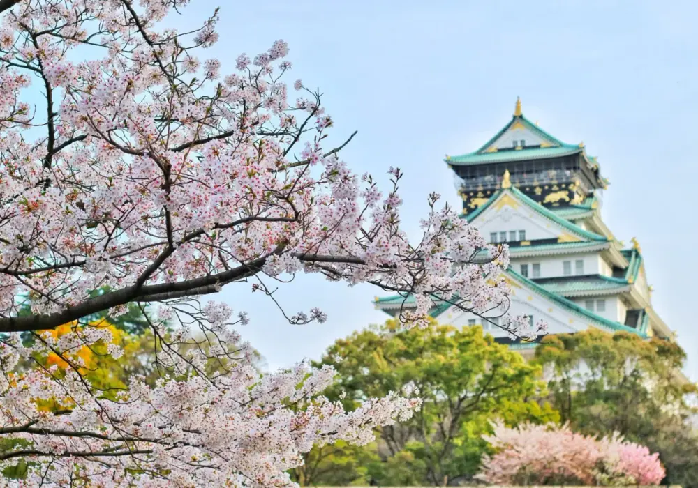 Japonia o każdej porze roku: Idealny termin twojej wymarzonej podróży