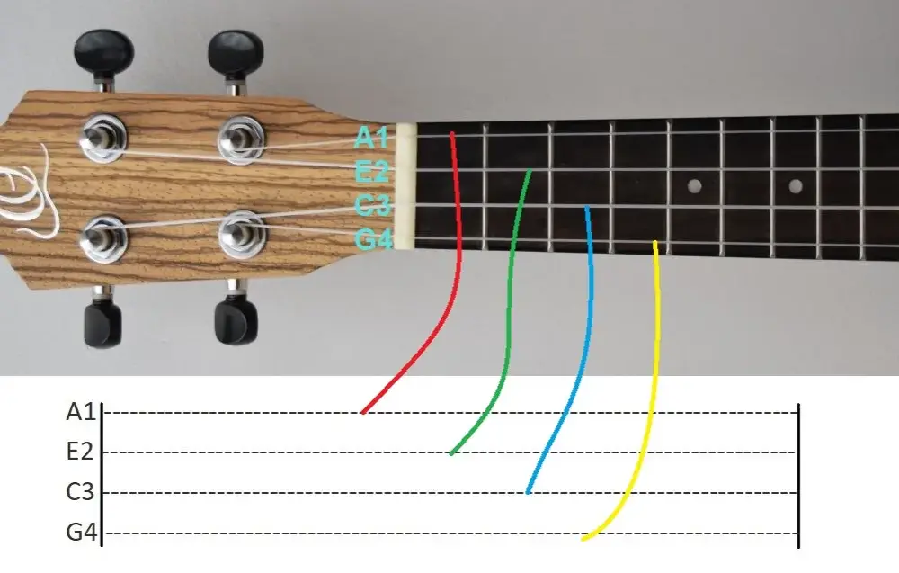 Ile trwa nauka gry na ukulele? Poznaj etapy postępów i tajniki!