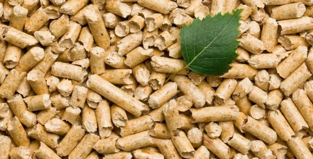 Jak produkować pellet: Kluczowe materiały i maszyny do sukcesu