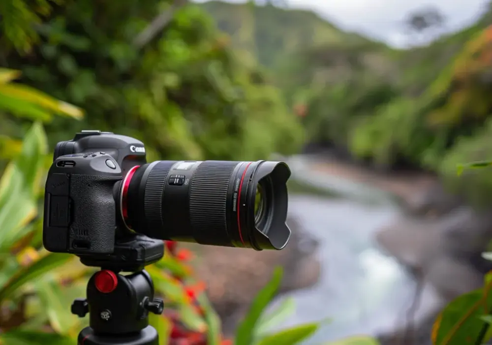 Opinie - Canon EF 24-105mm f/4L IS II USM 