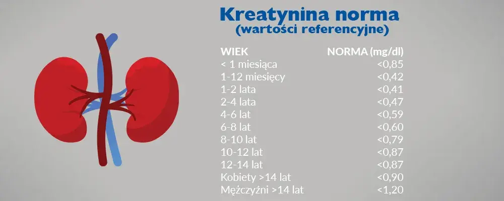 Ile się czeka na wynik badania kreatyniny i co warto wiedzieć?