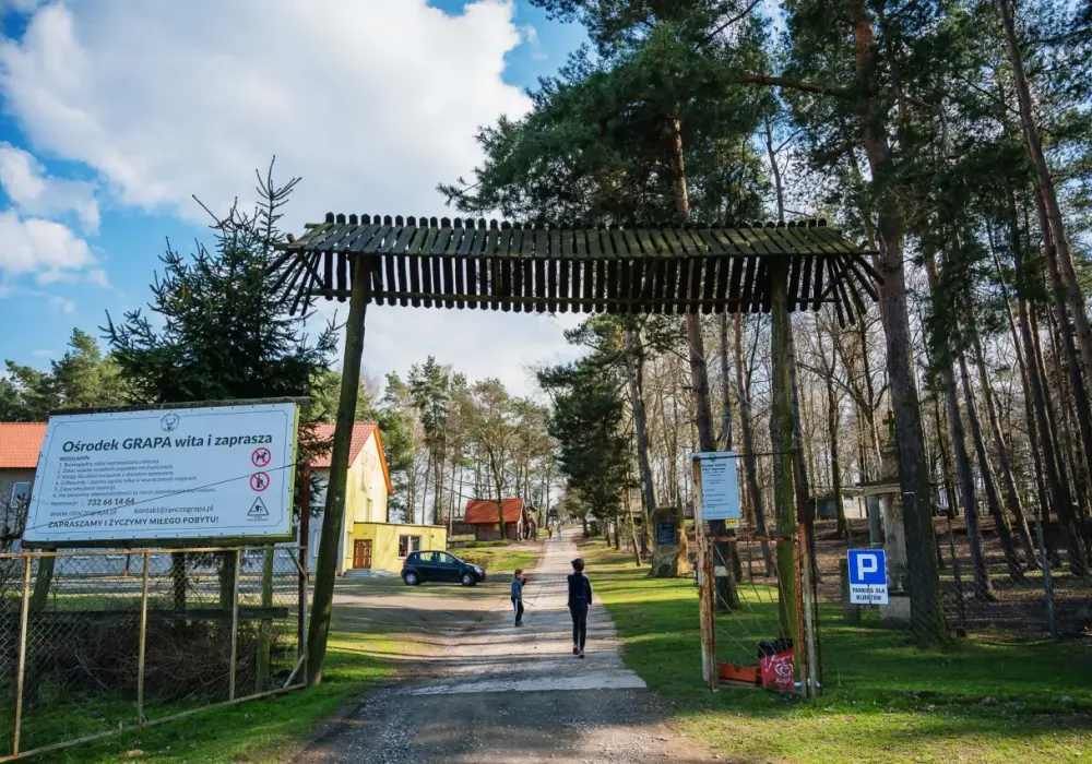 Gdzie na Śląsku znajdziesz mini zoo, które zachwyci całą rodzinę?