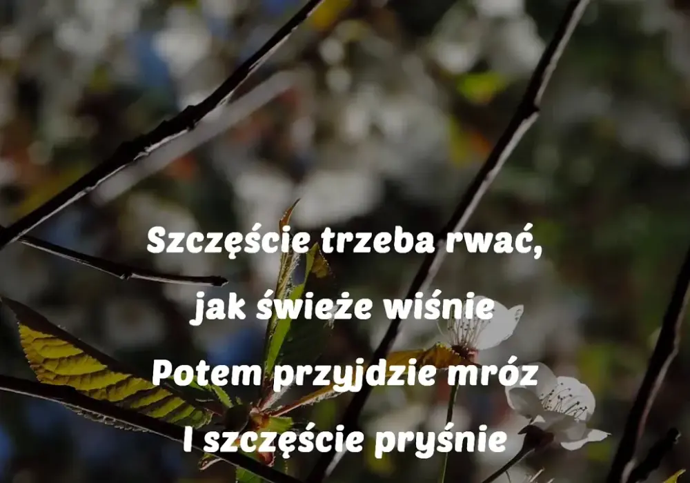 Szczęście trzeba rwać jak świeże wiśnie nuty - historia i nuty tanga