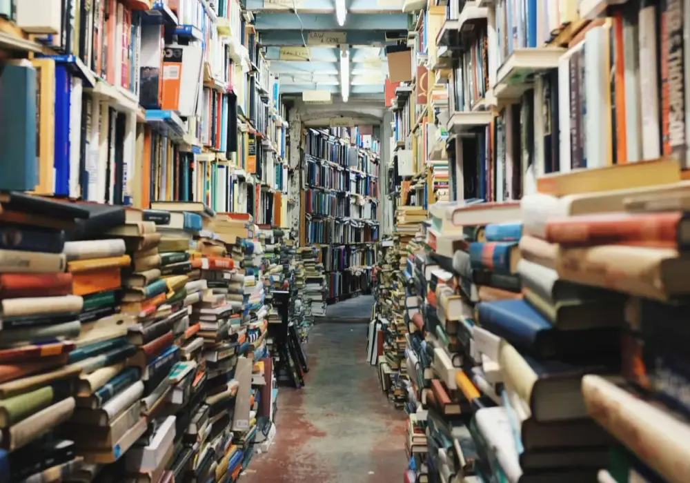 Gdzie szukać literatury do pracy licencjackiej, aby uniknąć trudności?