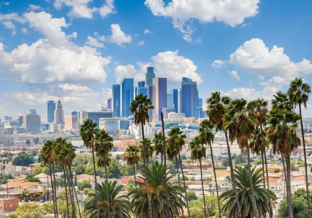 Aktualne ceny lotów z Polski do Los Angeles - ile obecnie kosztuje lot?