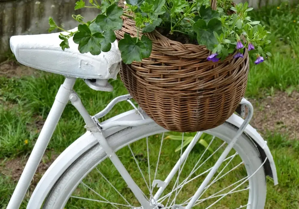 Jak zrobić kwietnik z roweru: DIY krok po kroku + inspiracje
