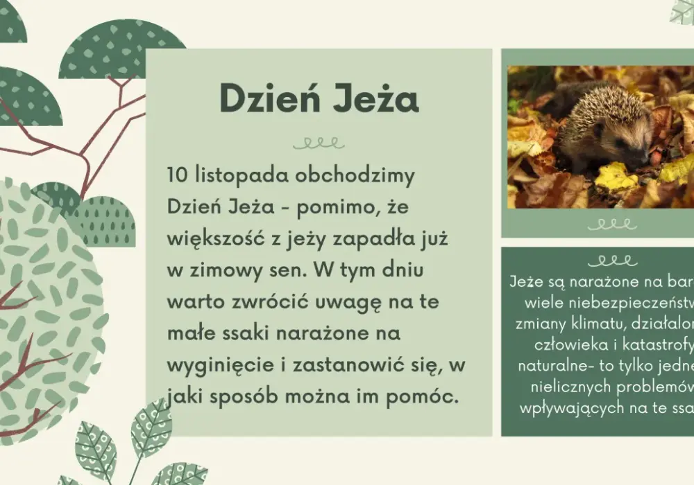 Tekst piosenki dokąd tupta nocą jeż - ulubiona melodia wszystkich dzieci