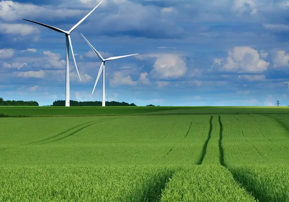 Białe certyfikaty energetyczne - jak uzyskać i na czym zarobić?