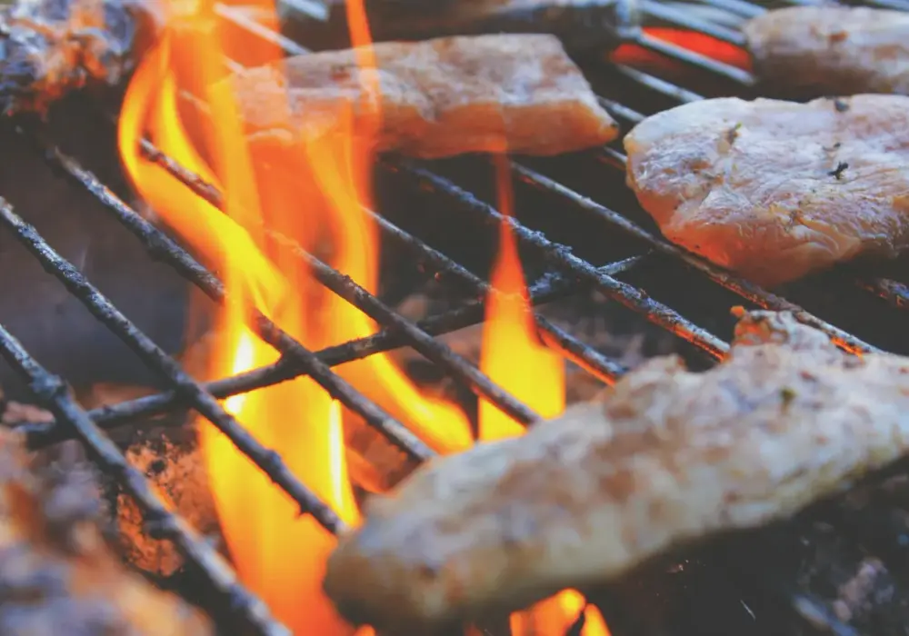 Sezon na Garden Party – dlaczego legendarne grille gazowe Weber to polecany wybór dla fanów BBQ?
