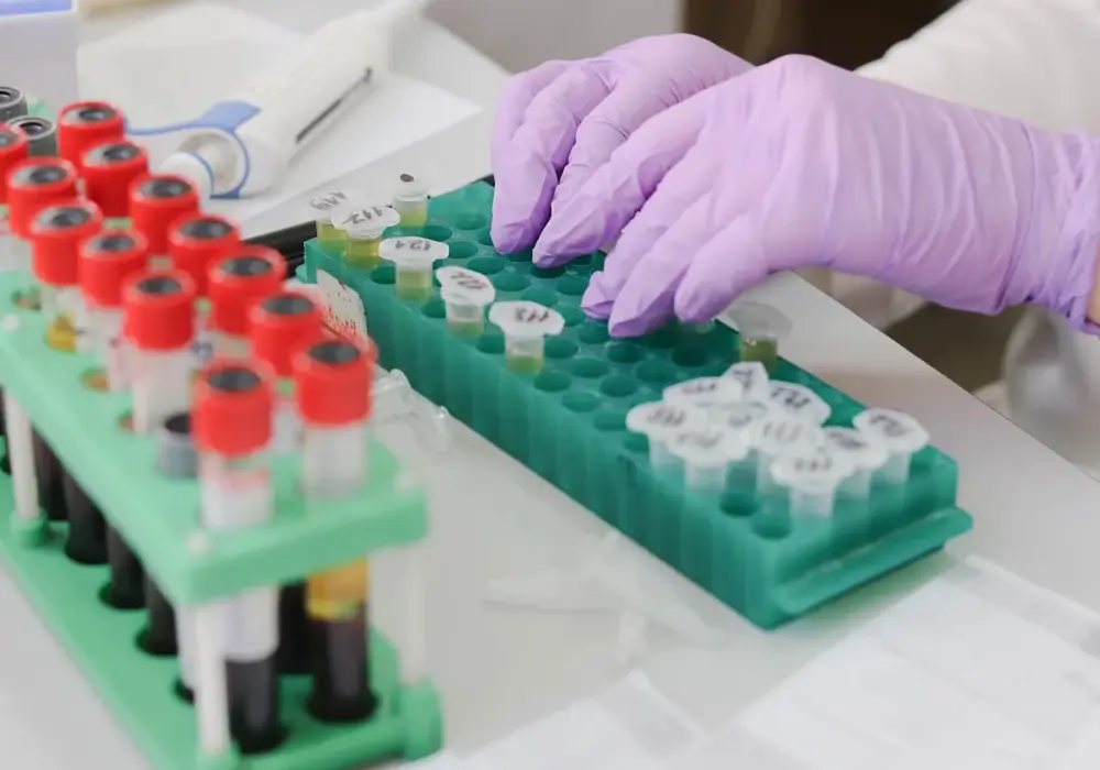 Studia chemiczne w Polsce 2026: Ranking uczelni, specjalizacje i perspektywy zawodowe