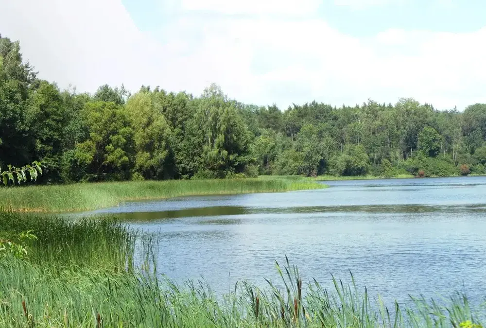 Najlepsze atrakcje nad Jeziorem Kowalskim: kompletny plan wypoczynku