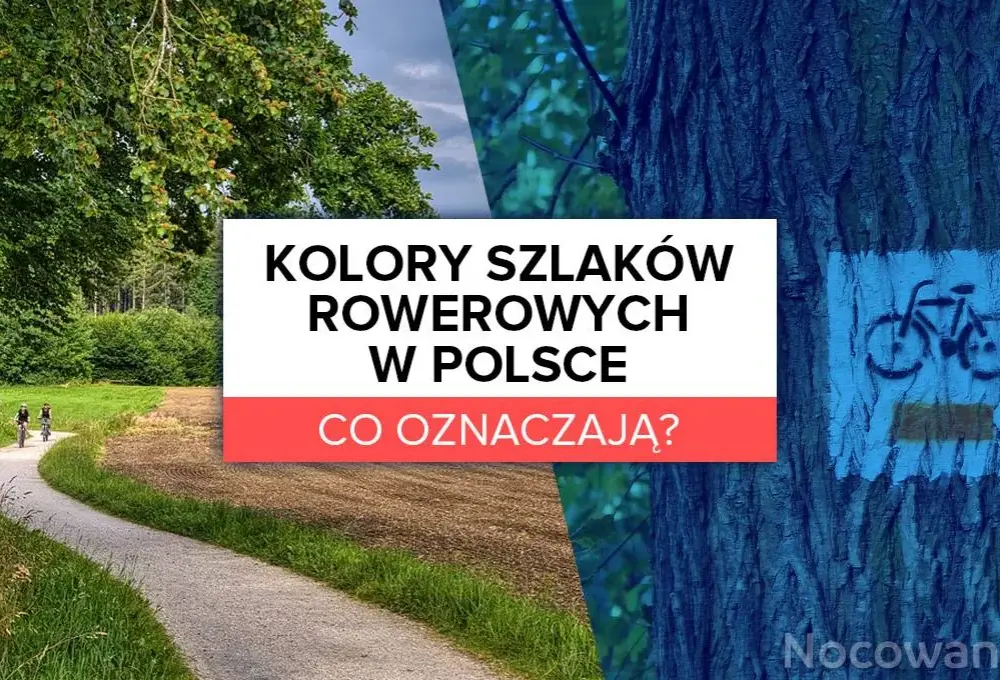 Co oznaczają kolory szlaków rowerowych i jak je wykorzystać dla bezpieczeństwa