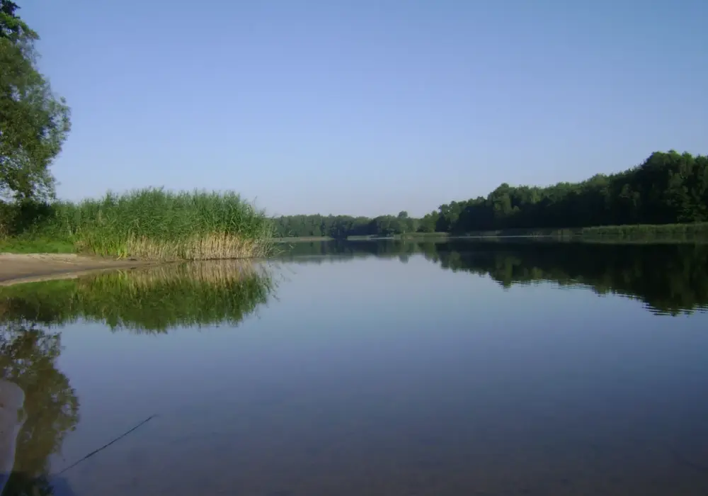 Jezioro Łąkie - największy akwen w gminie Skępe: mapa, głębokość i atrakcje