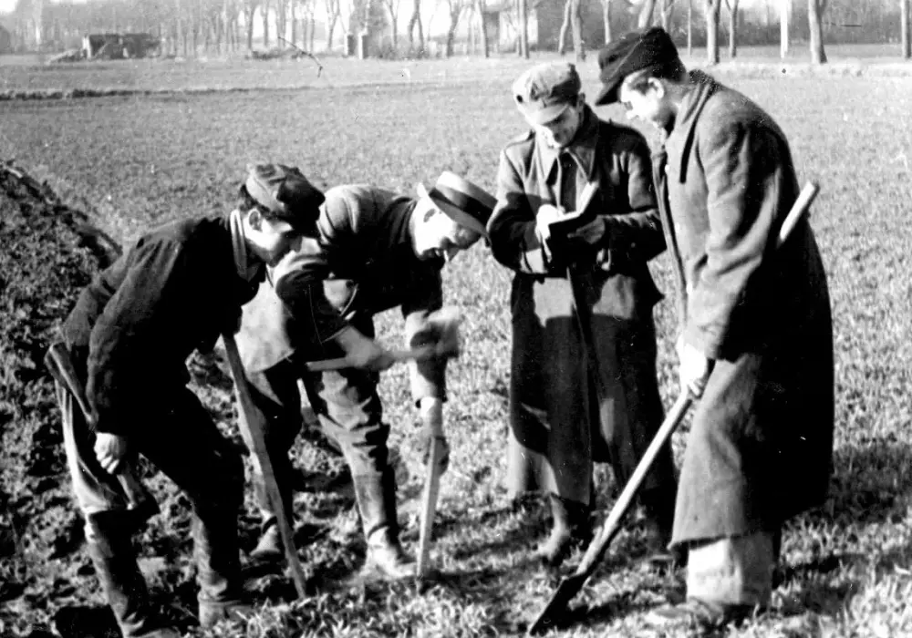 Dawna opłata od ziemi: poznaj historię podatków gruntowych w Polsce
