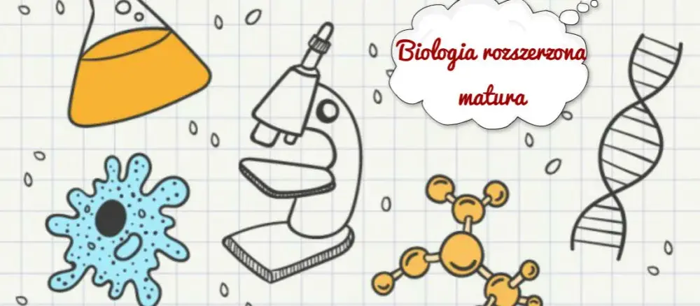 Czy rozszerzona biologia jest trudna? Fakty, porady i opinie dla maturzystów