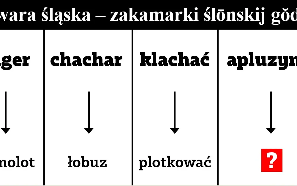 Gwara na Dolnym Śląsku - fascynująca historia języka regionalnego