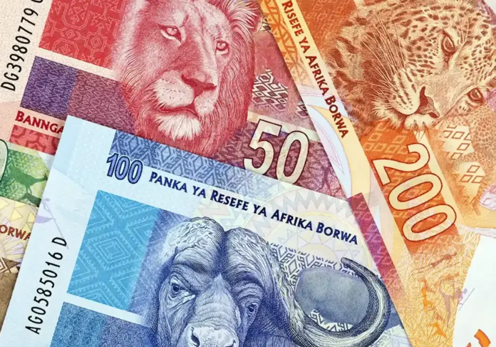 Jaka waluta w RPA: wszystko o randzie południowoafrykańskim ZAR i jego kursie