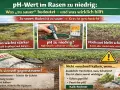 Rasen mit zu niedrigem pH-Wert: Moos wächst, Nachsaat schwach. Mit Kalk den pH-Wert verbessern. Was tun bei Rasen pH-Wert 7?
