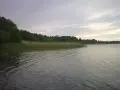 Spokojne jezioro orłowskie z gęstym pasem trzcin i zielonym lasem w tle. Woda lekko faluje pod pochmurnym niebem.