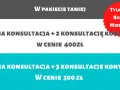 Ile kosztuje behawiorysta dla psa? Sprawdź ceny i porady przed wizytą