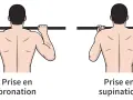 Comparaison de la prise en pronation et de la prise en supination pour un exercice de traction.