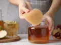Kombucha: Jak wyhodować domową kulturę SCOBY krok po kroku
