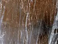 Nahaufnahme von verklebten Faszien, die an ein Spinnennetz erinnern. Medikamente gegen verklebte Faszien können hier helfen, die Elastizität wiederherzustellen.
