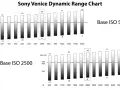 Wykresy Sony Venice pokazują rozpiętość tonalną dla bazowych ISO 500 i 2500. Wyższe ISO oferuje szerszy zakres, co pozwala uchwycić więcej detali w jasnych i ciemnych partiach.