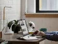 Person tippt auf Laptop, daneben stehen Lampe, Pflanze, Globus und Tasse.