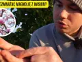 Jak sadzić nasiona magnolii - proste kroki i skuteczne techniki