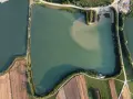 Widok z lotu ptaka na zielone oczko wodne, otoczone polami i drogami. Idealne miejsce na spokojne łowisko.