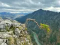 Malowniczy widok na Pieniny z charakterystycznym drzewem na skale. Idealne miejsce na plan zwiedzania gór.