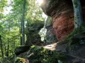 Sonnenstrahlen brechen durch das Blätterdach auf einen Pfad, der zu den roten Sandsteinfelsen führt. Eine perfekte Kulisse für eine altschlossfelsen wanderung.