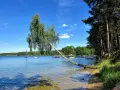 Malownicze łowiska komercyjne na Kaszubach. Jezioro, łodzie, plaża i pochylona brzoza pod błękitnym niebem.
