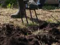 Osoba w gumowcach spulchnia widoczną na pierwszym planie glebę gliniastą za pomocą wideł.