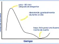 Gráfico muestra cómo regular el cortisol: pico al despertar, desciende durante el día, bajo para dormir bien.