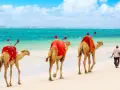 Kenia: Safari, plaże, eTA. Odkryj sekrety niezapomnianej podróży.