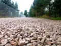 Czym wysypać podjazd, aby uniknąć kosztownych błędów?