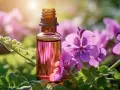 A small amber bottle of pink geranium essential oil sits amongst vibrant pink geranium flowers and green leaves, hinting at its spiritual benefits.