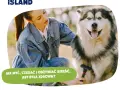 Nieprzyjemny zapach psa? Skuteczny plan działania krok po kroku
