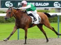 Un jockey en tenue verte et rose monte un cheval brun portant le numéro 6, "DEUVILLE", sur la piste. Le dp poney est en pleine course.
