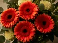 En bukett med lysande orange gerbera blomma, omgiven av gröna blad och fluffiga vita blommor.