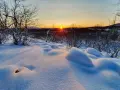 Snöklädda kullar och träd i solnedgångens gyllene ljus. En bilduppgift vinter som fångar den magiska stämningen i norra Sverige.