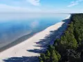 Spokojne morze i piaszczysta plaża na mierzei wiślanej, otoczone gęstym lasem sosnowym.