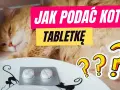 Jak podać kotu tabletkę na odrobaczanie bez stresu i problemów