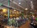 A bike shop interior, showcasing a wide selection of bicycles, from road bikes to mountain bikes, offering advice on how to choose a mountain bike.