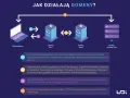 Domena internetowa: Co to jest? Jak działa? Wybierz idealną!
