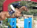 Lando, l'étalon brun, saute avec grâce un obstacle bleu, son cavalier concentré.