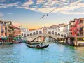 Gondole scivolano sui **canaletti di Venezia**, sotto il Ponte di Rialto, con edifici colorati e un gabbiano in volo.
